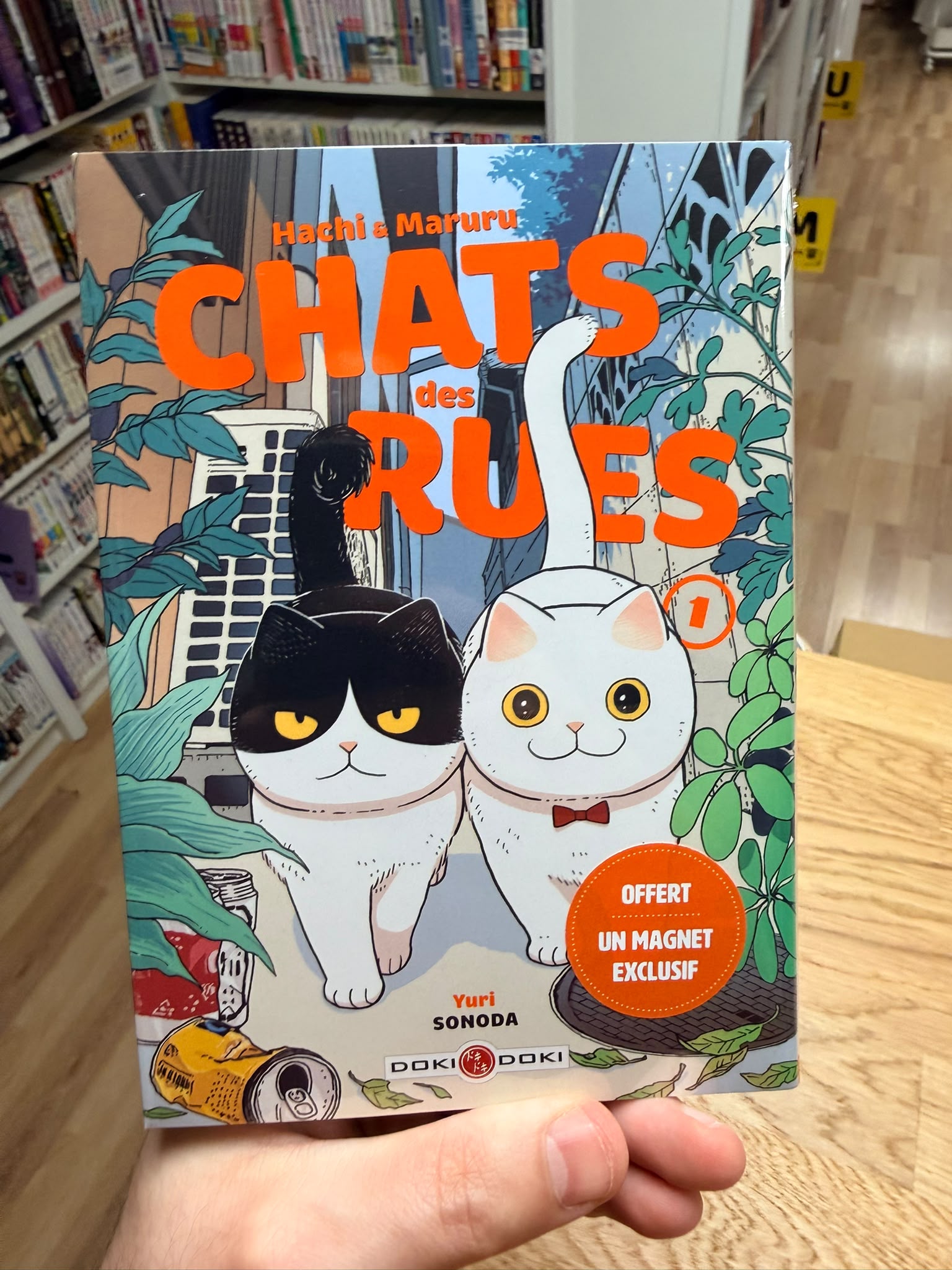 Hachi & Maruru Chats des rues T1 édition limitée avec magnet sous blister&nbsp;&nbsp;
